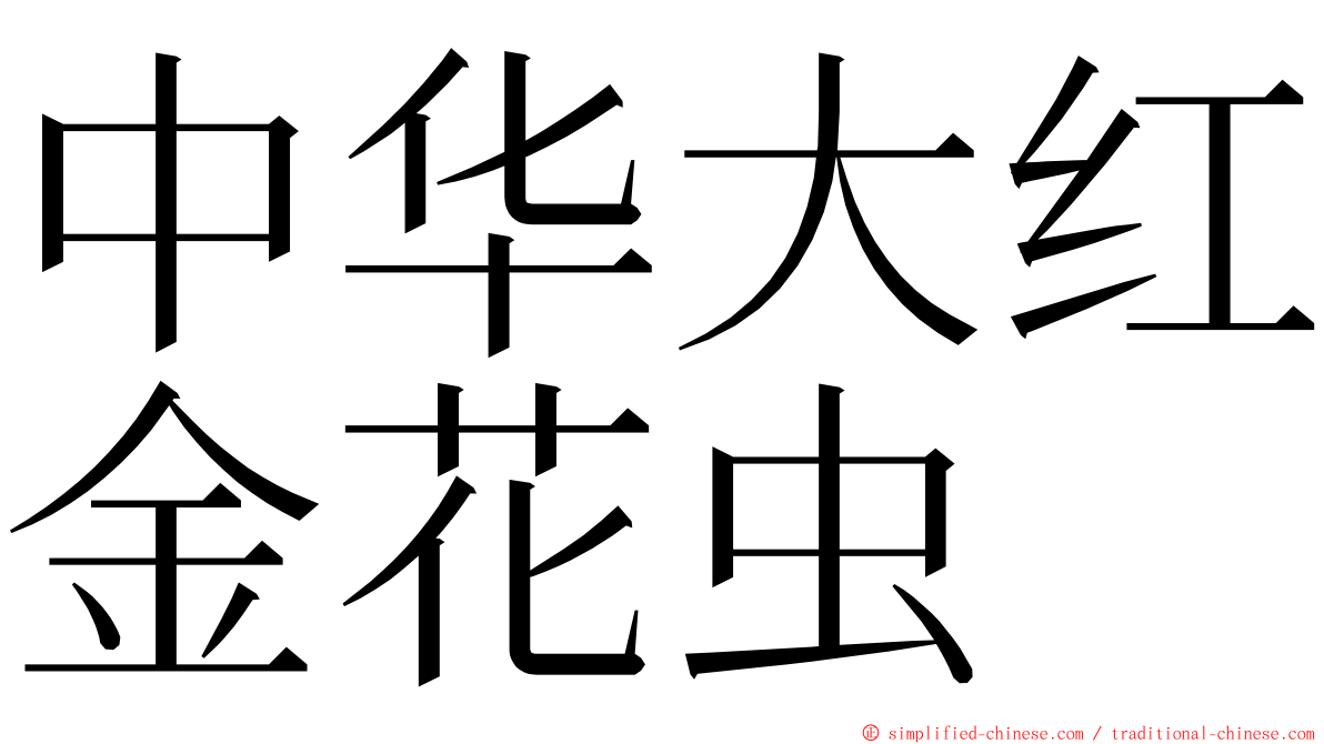 中华大红金花虫 ming font