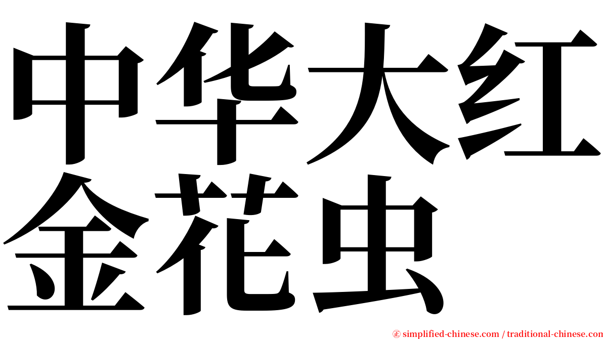 中华大红金花虫 serif font