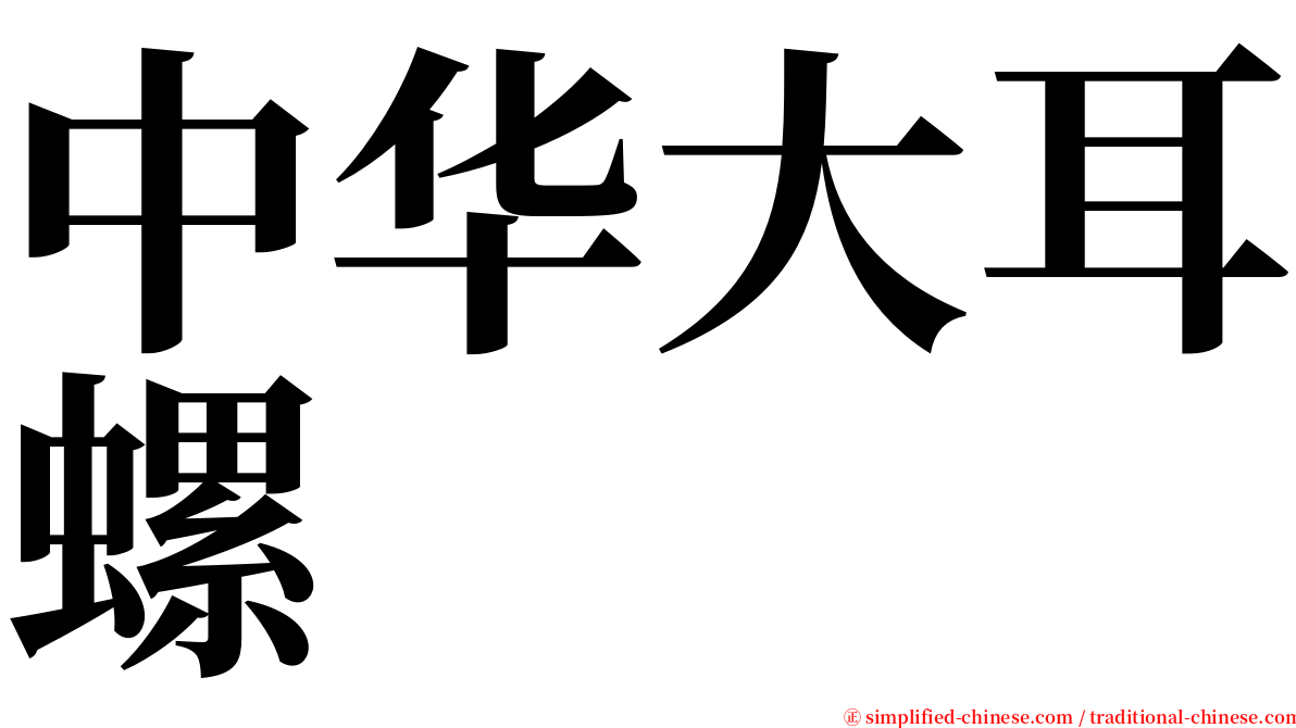 中华大耳螺 serif font