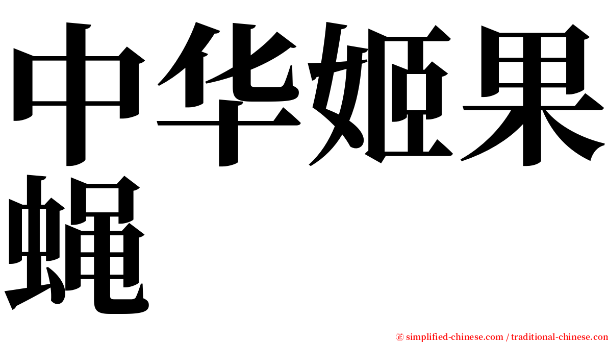 中华姬果蝇 serif font