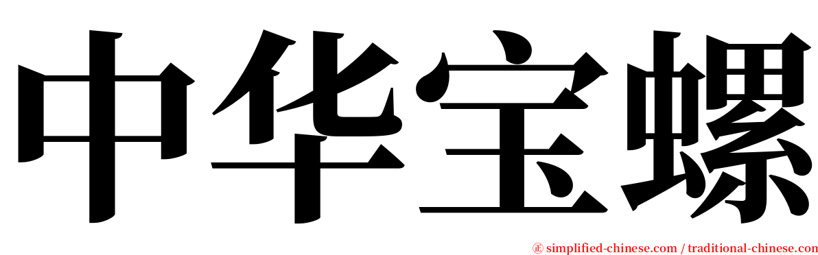 中华宝螺 serif font