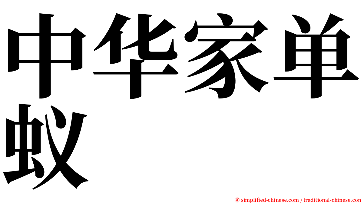 中华家单蚁 serif font