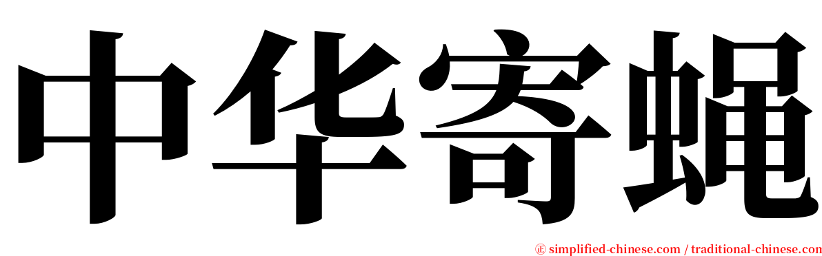 中华寄蝇 serif font