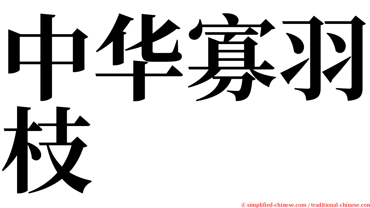 中华寡羽枝 serif font