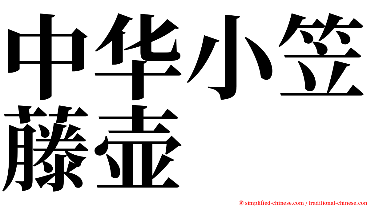 中华小笠藤壶 serif font