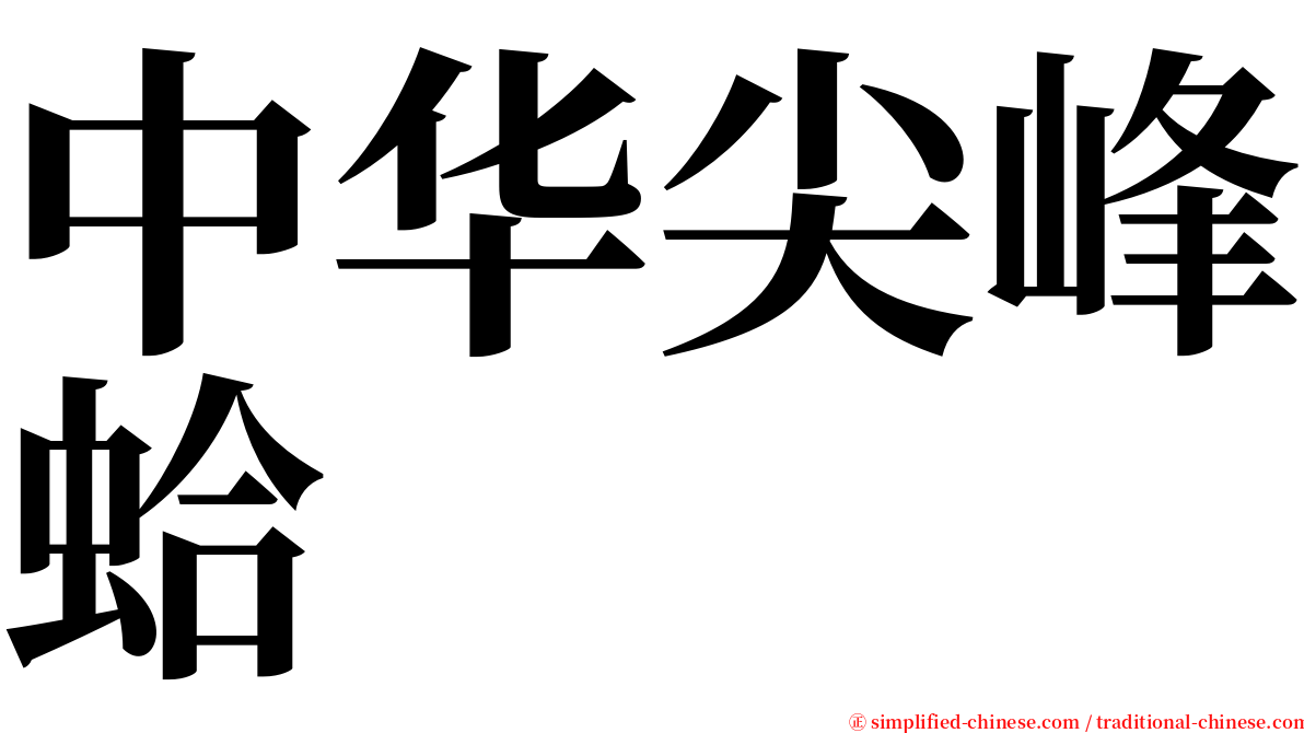 中华尖峰蛤 serif font