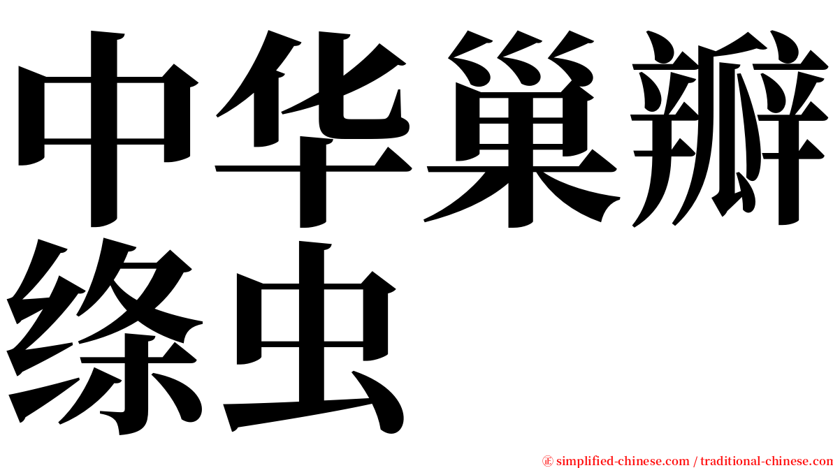 中华巢瓣绦虫 serif font