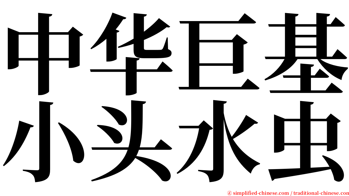 中华巨基小头水虫 serif font