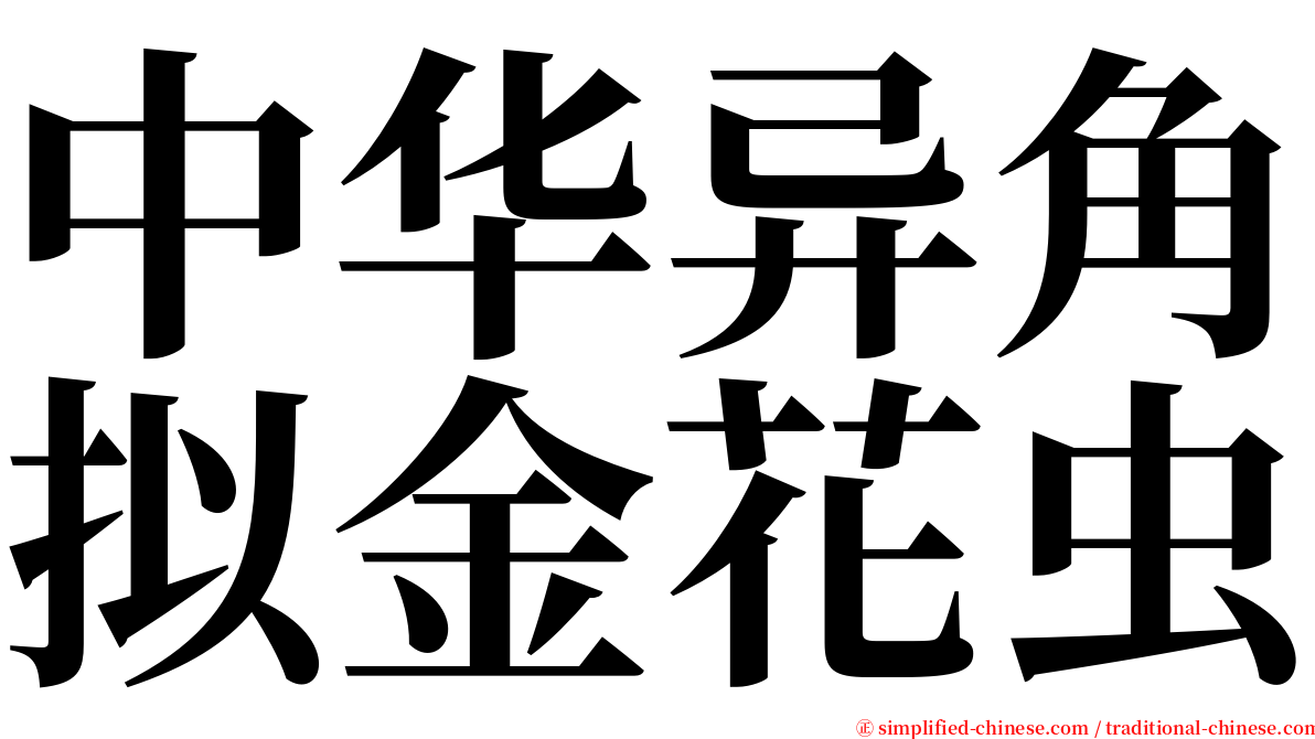中华异角拟金花虫 serif font
