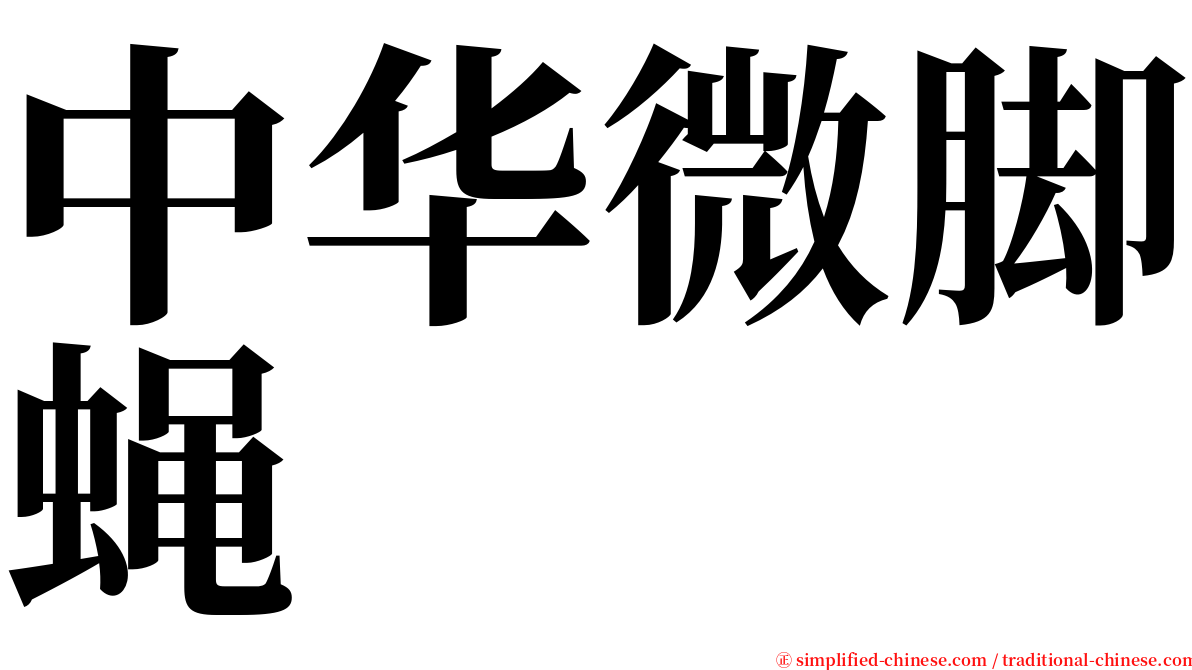 中华微脚蝇 serif font