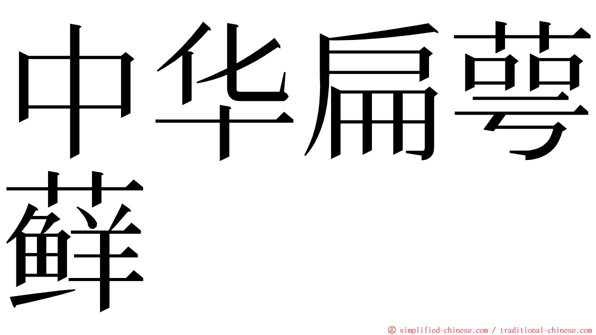 中华扁萼藓 ming font
