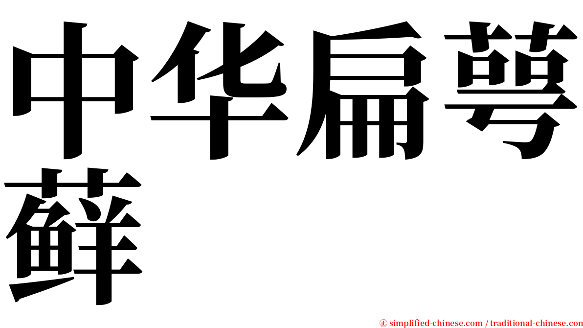 中华扁萼藓 serif font