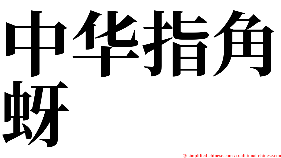 中华指角蚜 serif font