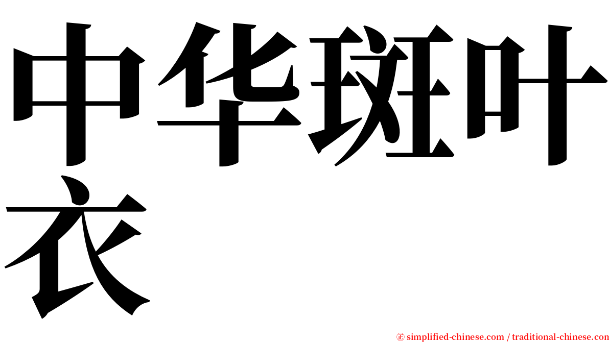 中华斑叶衣 serif font