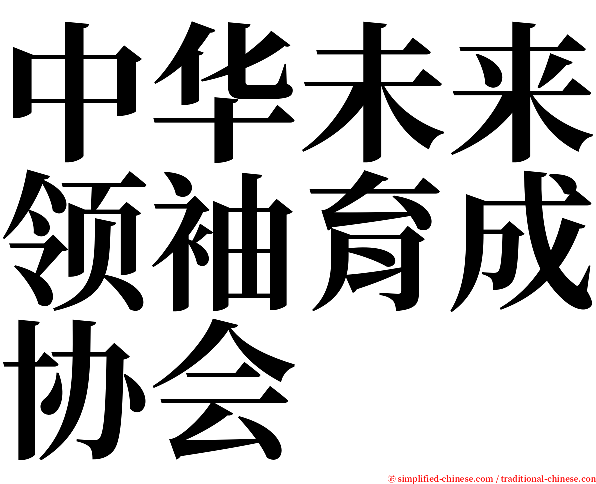 中华未来领袖育成协会 serif font