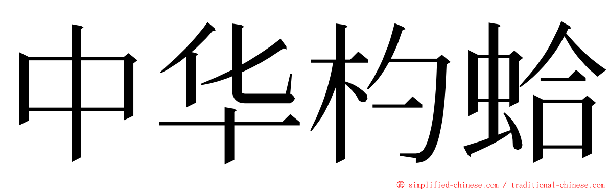 中华杓蛤 ming font