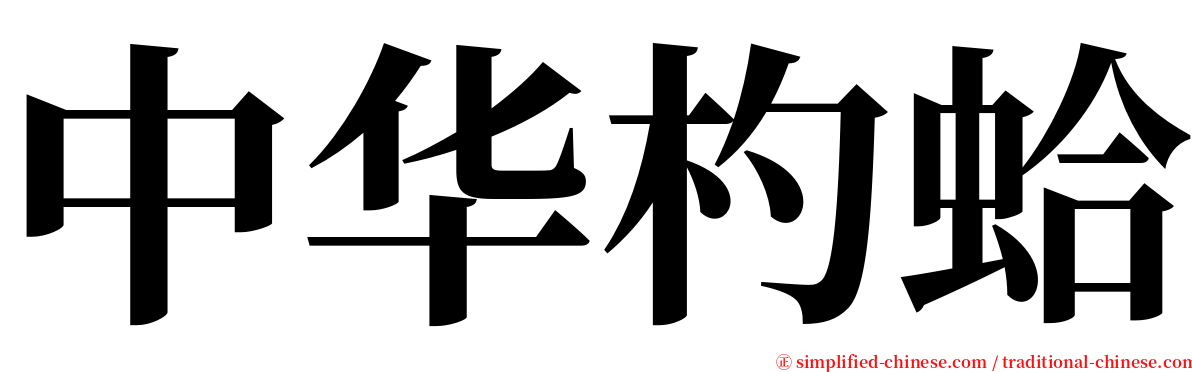 中华杓蛤 serif font