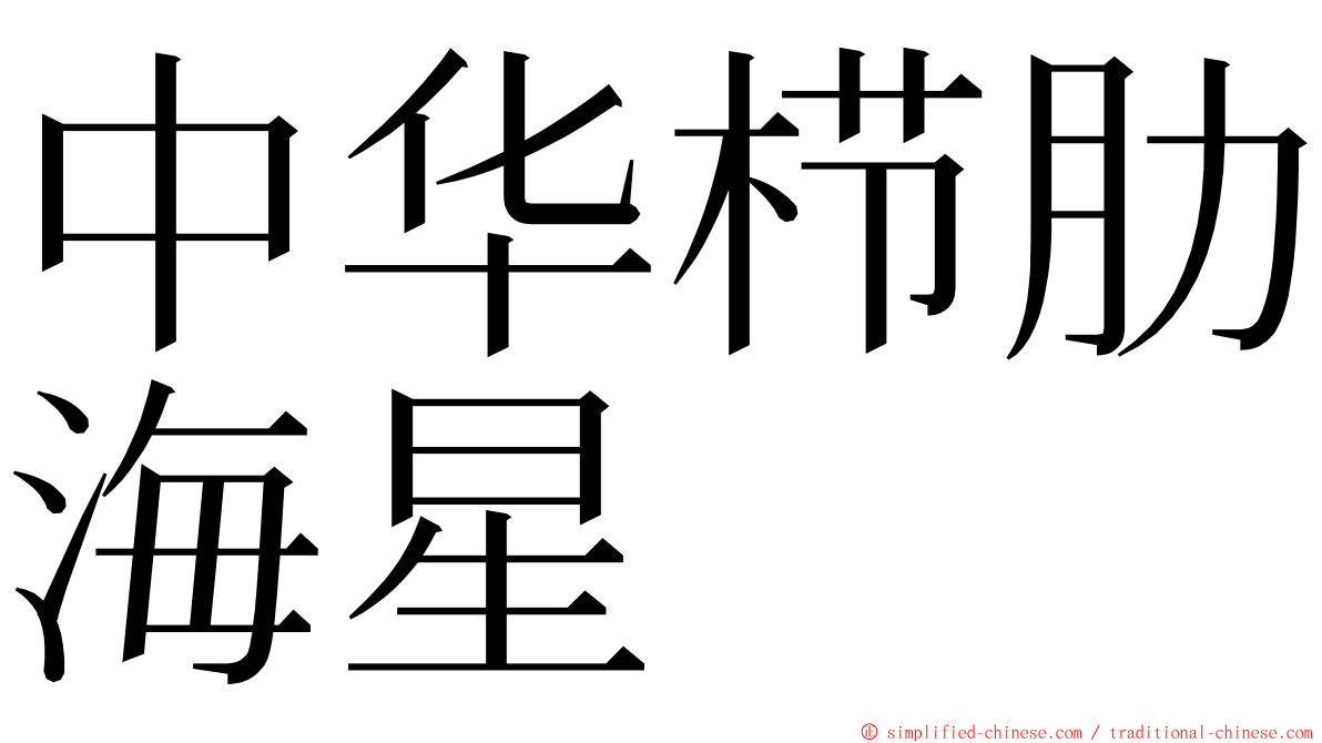 中华栉肋海星 ming font