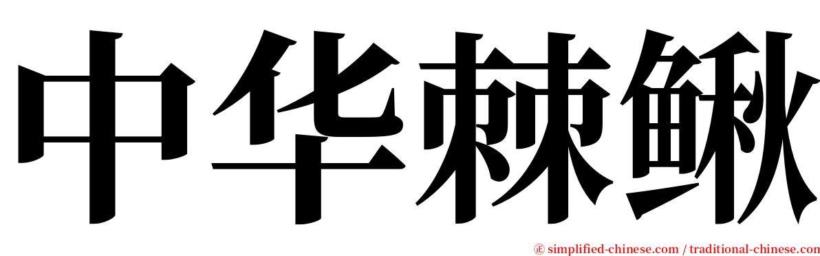 中华棘鳅 serif font