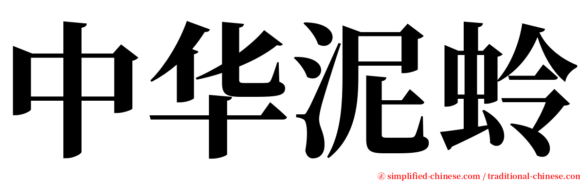 中华泥蛉 serif font