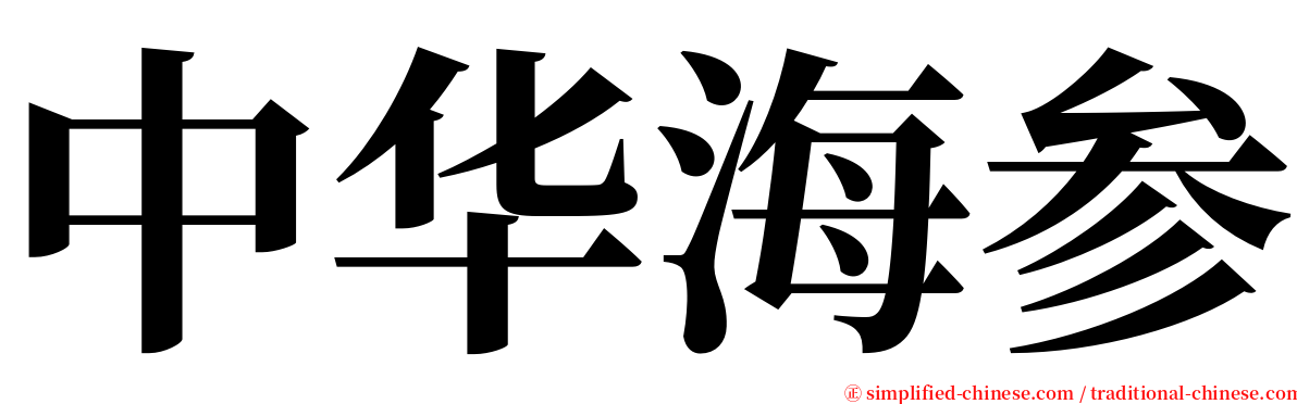 中华海参 serif font