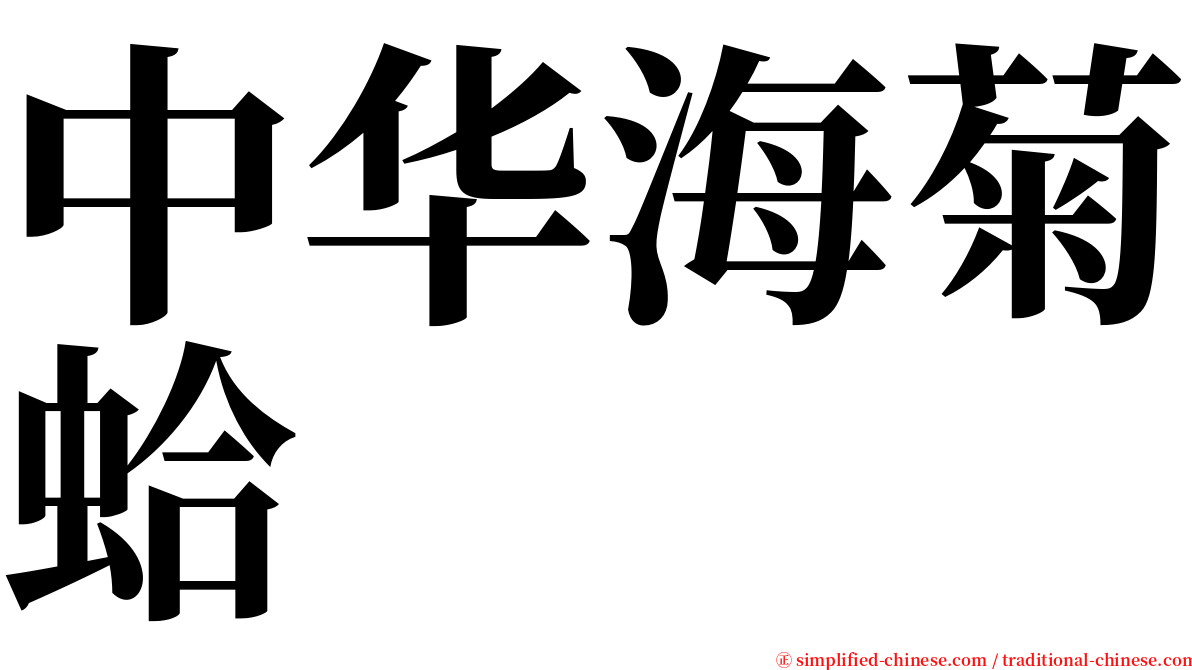 中华海菊蛤 serif font