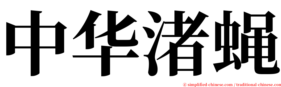 中华渚蝇 serif font