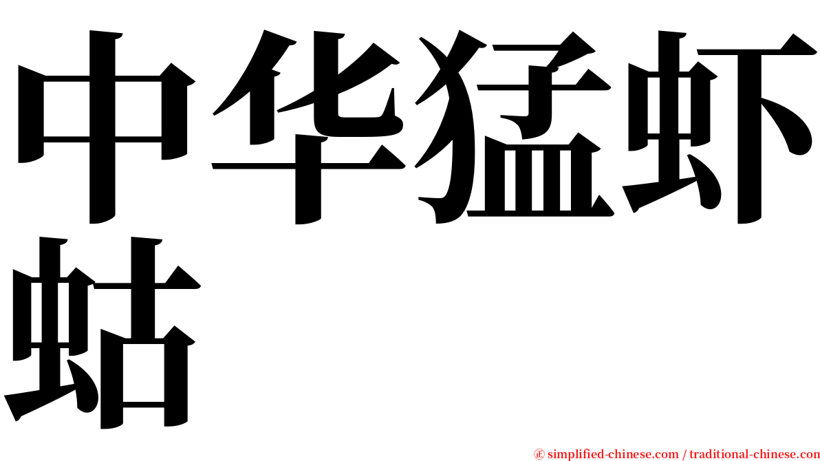 中华猛虾蛄 serif font