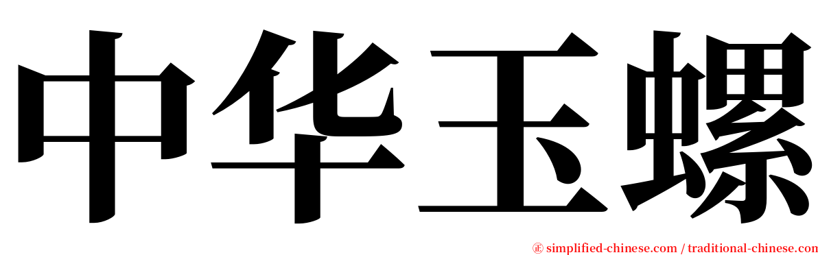 中华玉螺 serif font