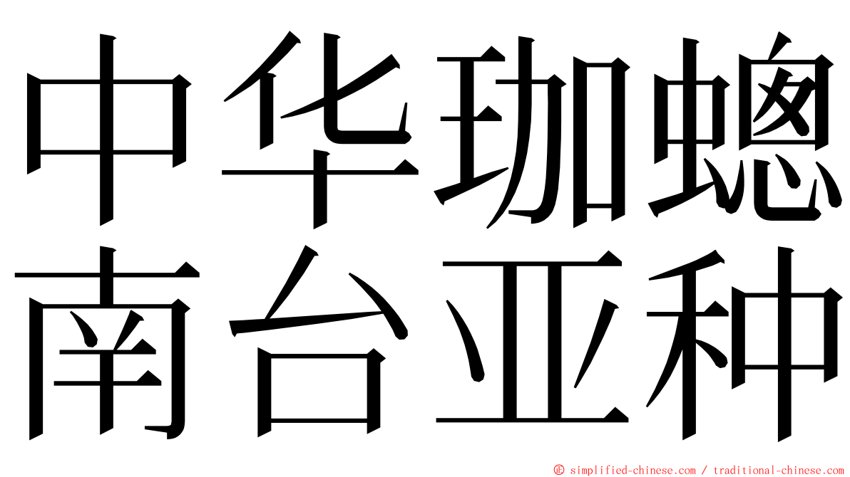 中华珈蟌南台亚种 ming font