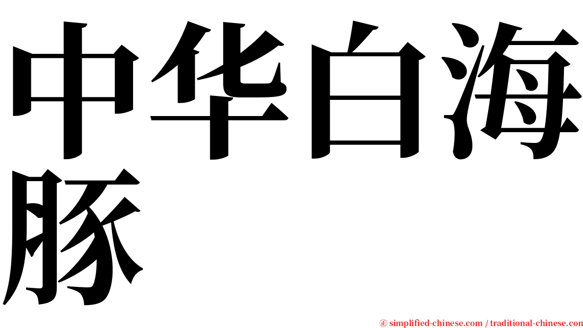 中华白海豚 serif font