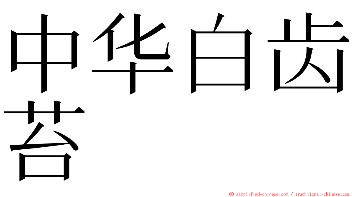 中华白齿苔 ming font