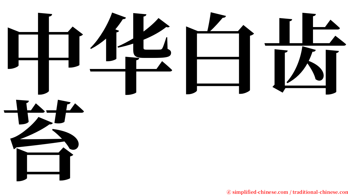 中华白齿苔 serif font