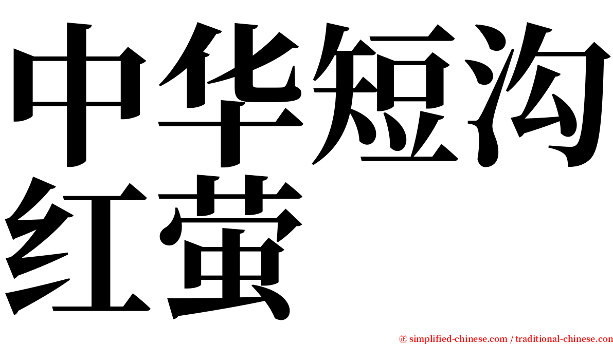 中华短沟红萤 serif font
