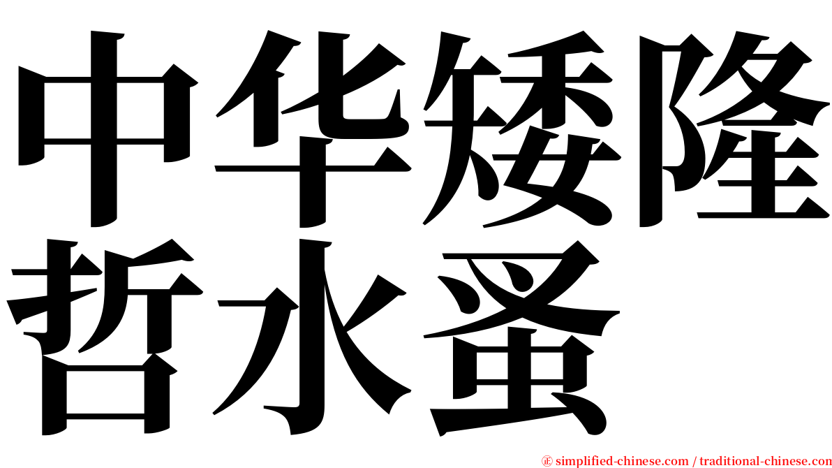 中华矮隆哲水蚤 serif font