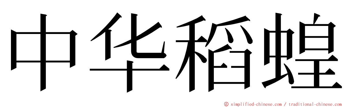 中华稻蝗 ming font