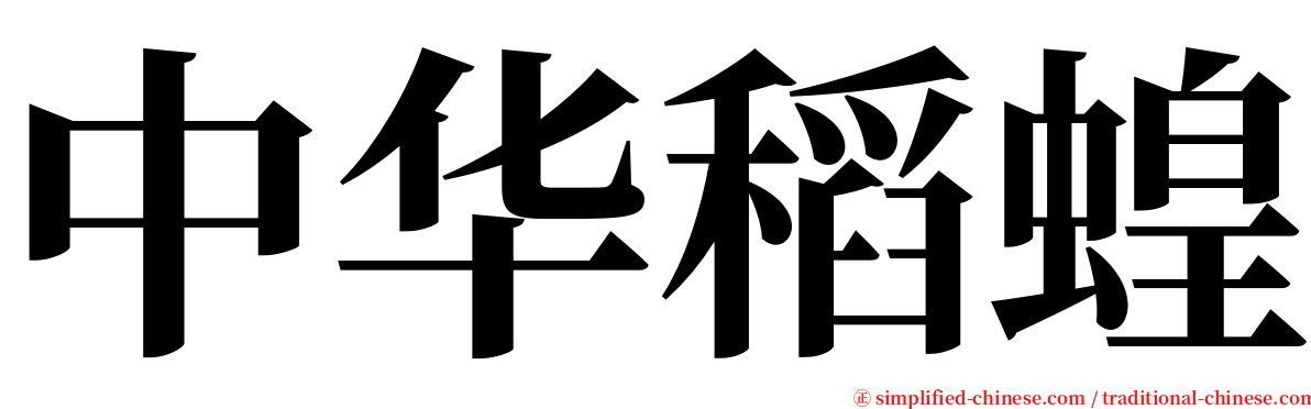 中华稻蝗 serif font