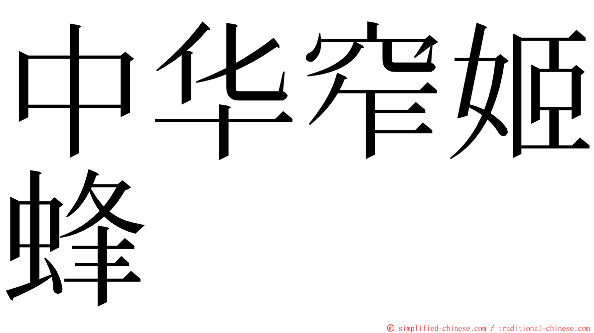 中华窄姬蜂 ming font