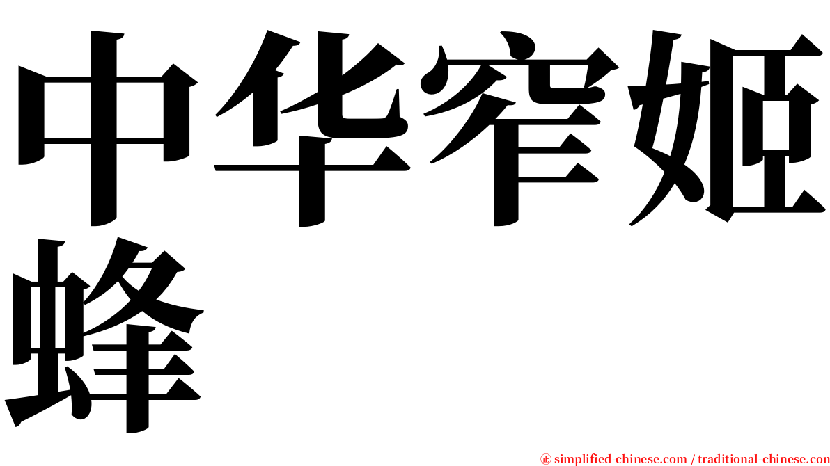 中华窄姬蜂 serif font