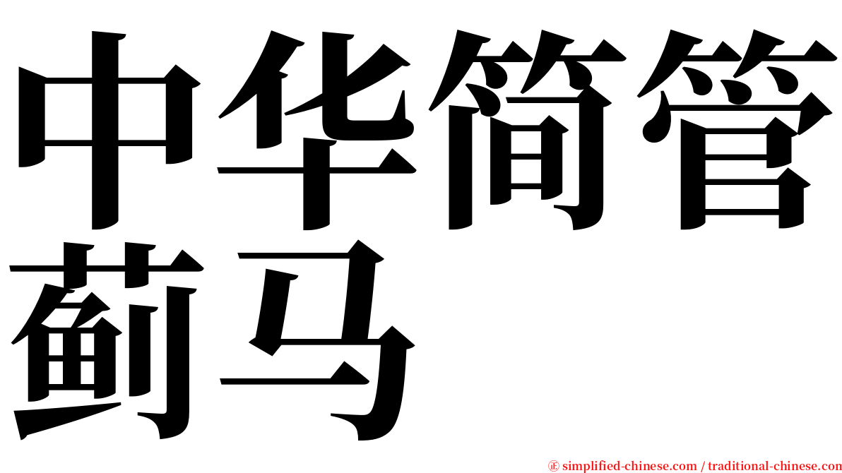 中华简管蓟马 serif font