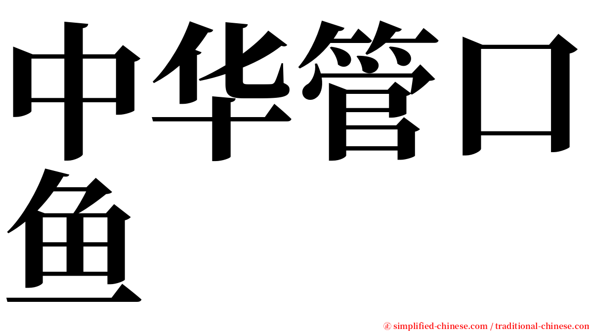 中华管口鱼 serif font