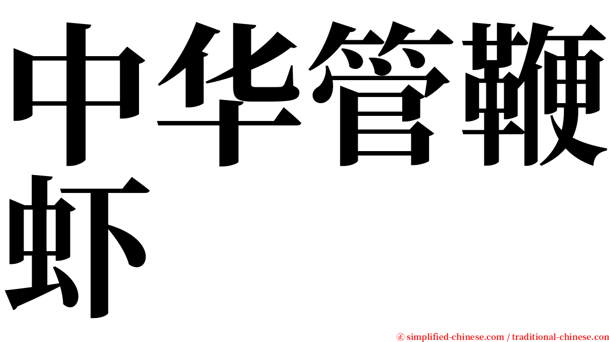 中华管鞭虾 serif font