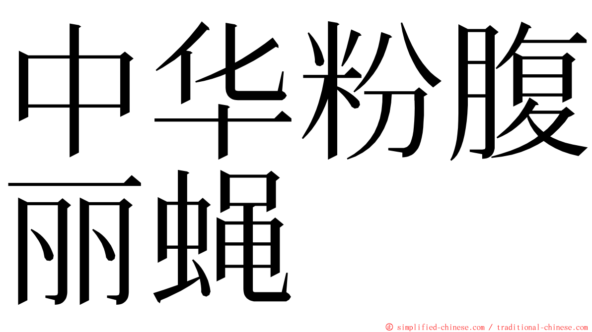 中华粉腹丽蝇 ming font