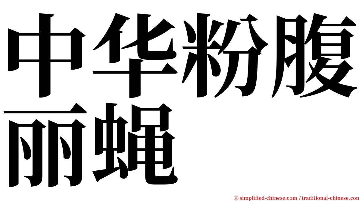 中华粉腹丽蝇 serif font