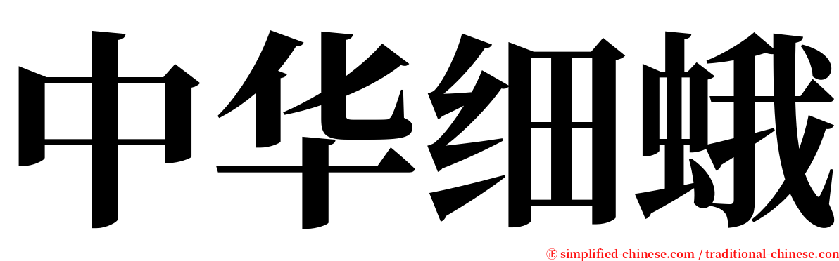中华细蛾 serif font