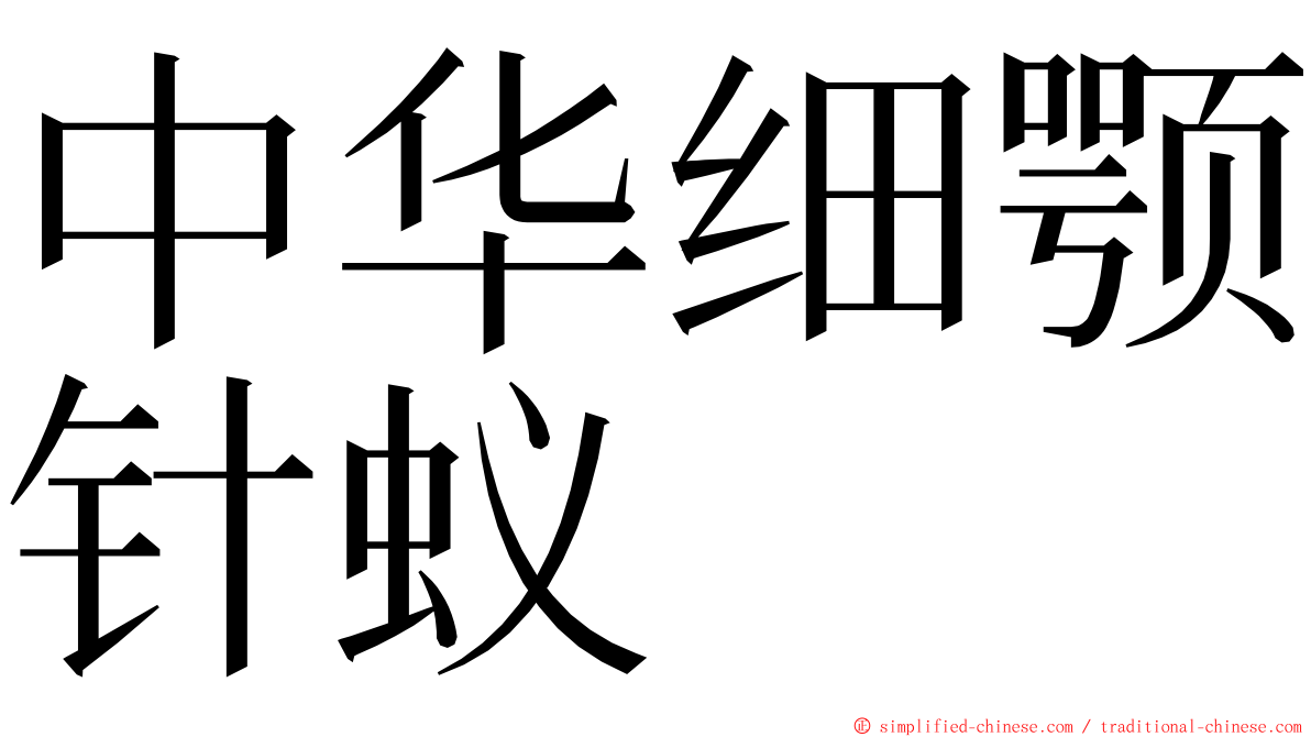 中华细颚针蚁 ming font