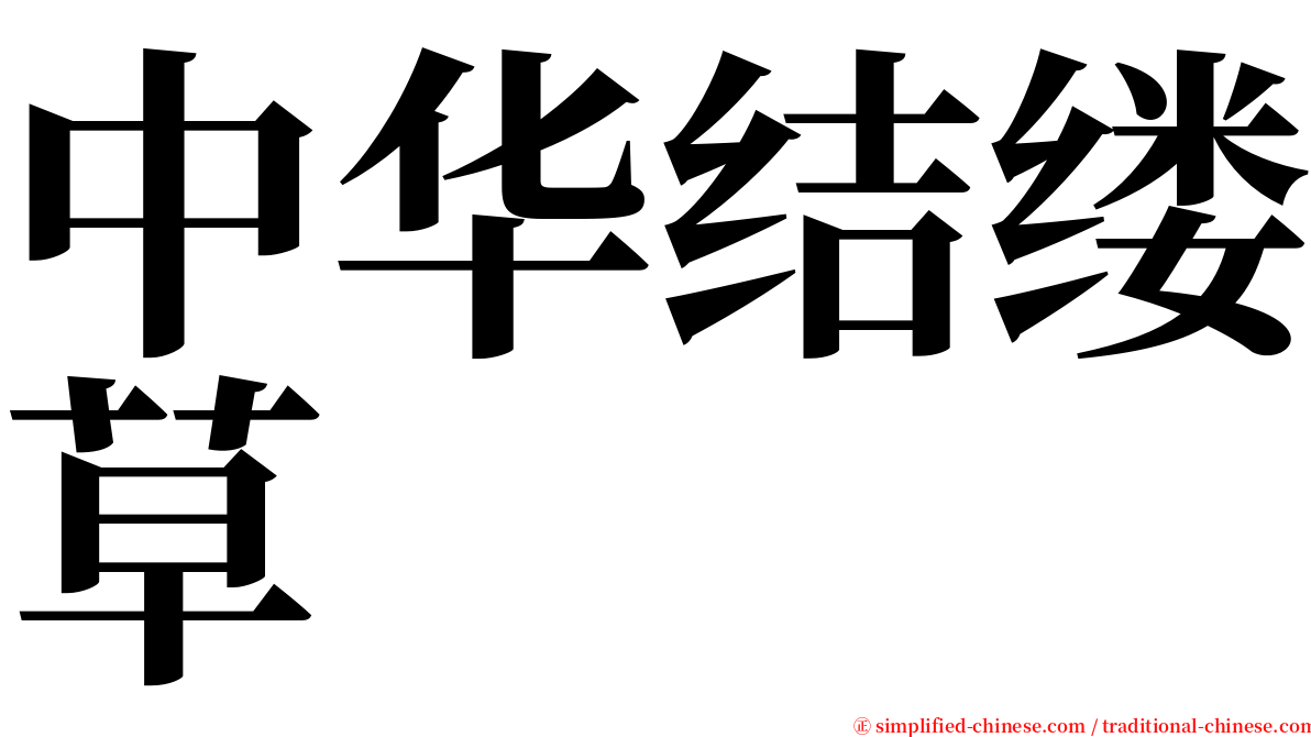 中华结缕草 serif font