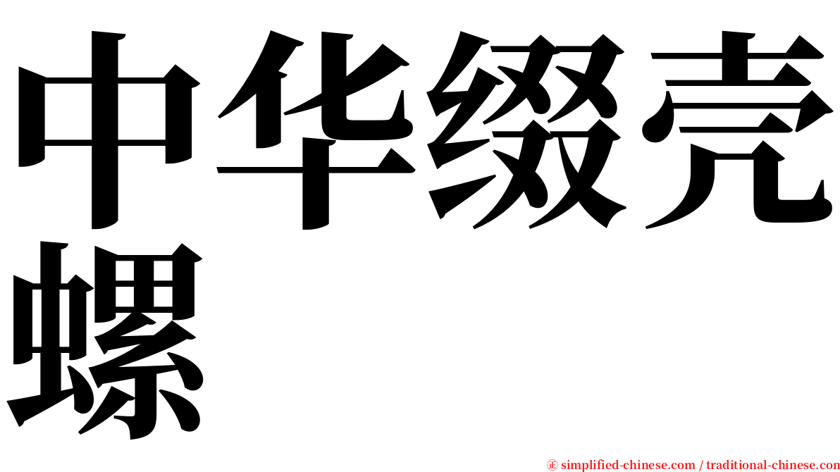 中华缀壳螺 serif font