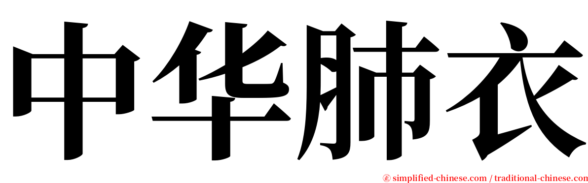 中华肺衣 serif font