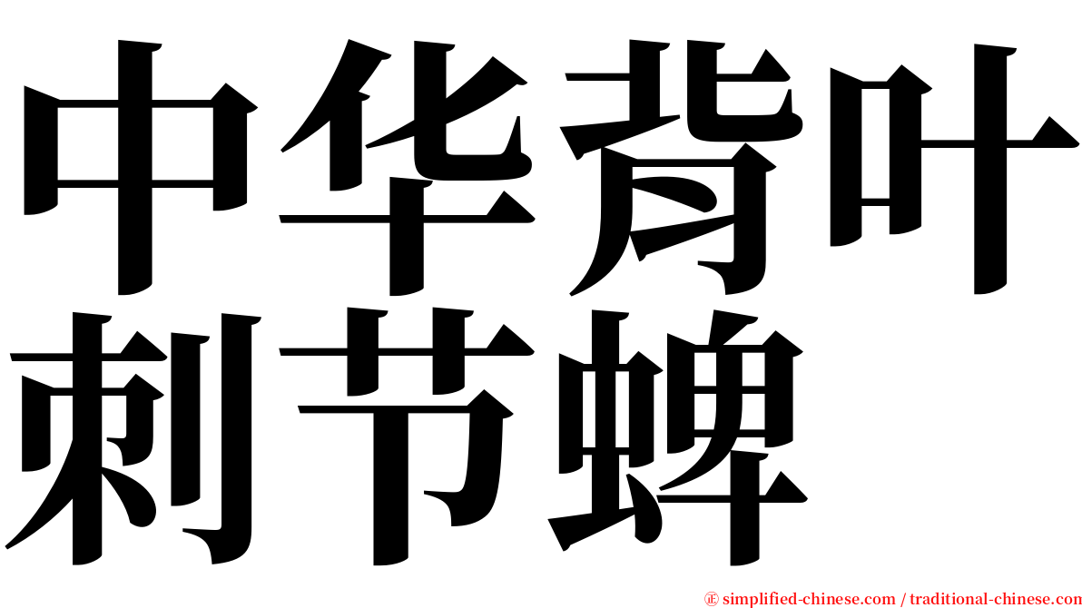 中华背叶刺节蜱 serif font